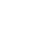 Executive Security Services